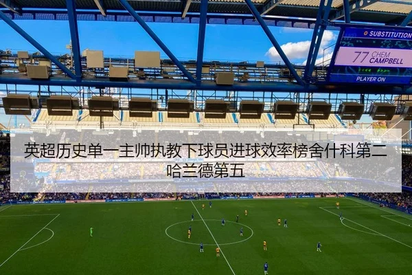 英超历史单一主帅执教下球员进球效率榜舍什科第二哈兰德第五（bob.comapp）